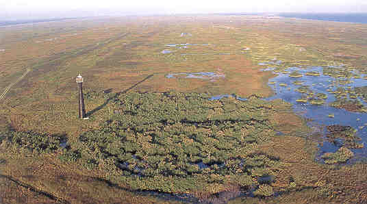Barrier Island Interior Wetlands